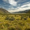 NZ Mt Cook 0978